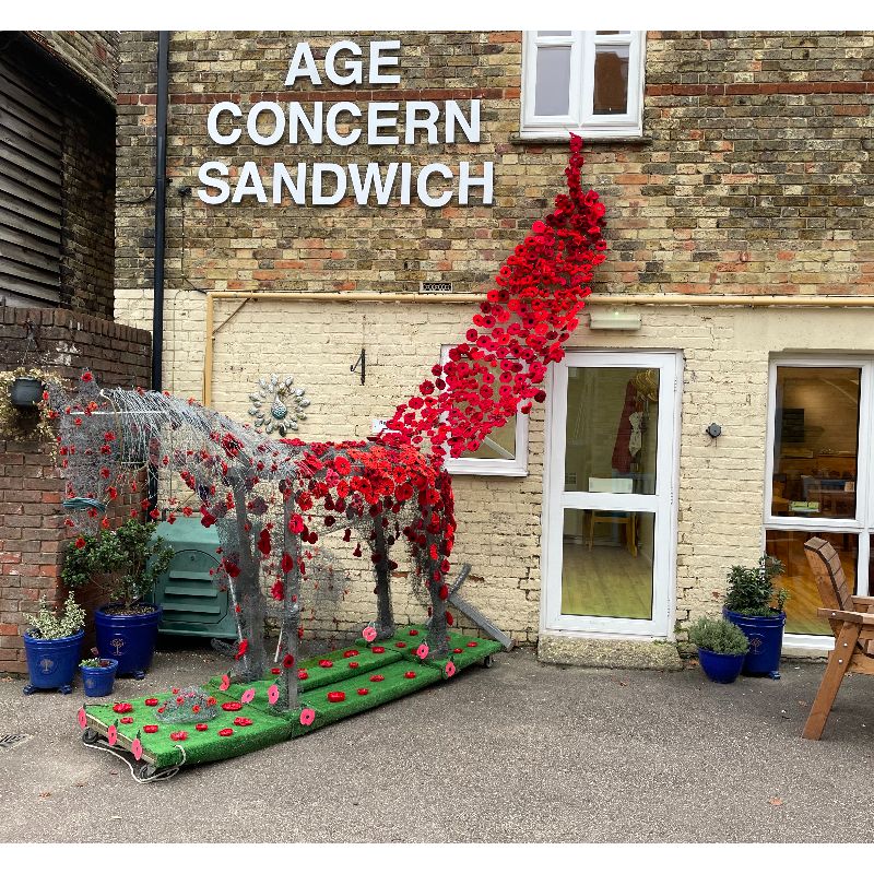 Seamus the War Horse returns from the fields in honour of fallen heroes - Age Concern Sandwich